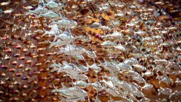 Mark Reed's Your Waves Go Over Me