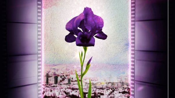 The 2nd edition of the Amman International Film Festival 