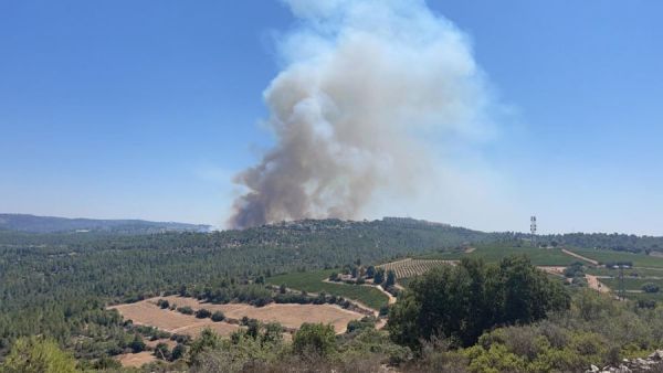 حريق في أحراش "شورش"