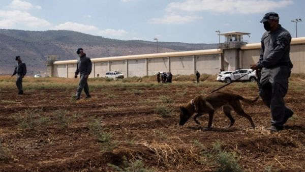 اعتقال 5 فلسطينيين من أقرباء الأسرى الفارين