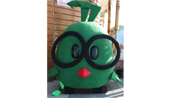 Birdy Dulsco Gears Up for Expo 2020 Dubai as the Official Waste Management Partner