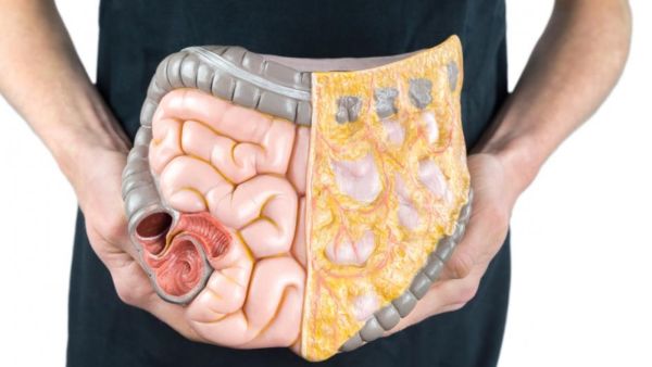 طبيب البوابة: 5 علامات تدل على أنك لا تهضم الدهون بشكل صحيح