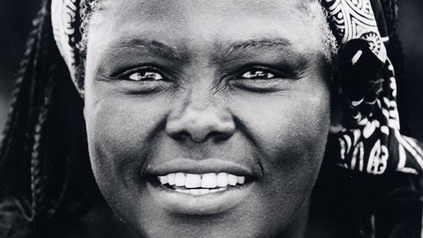 Wangari Maathai (Twitter) Wangari Maathai