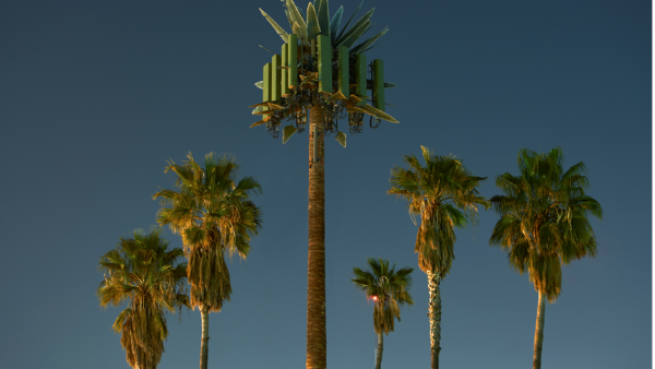 Isik Kaya, Untitled I, 2020. From ‘Second Nature’. Digital print; 30 x 21 cm The Annual Photography Exhibition Features Works Selected From An Open Call That Received More Than 500 Submissions