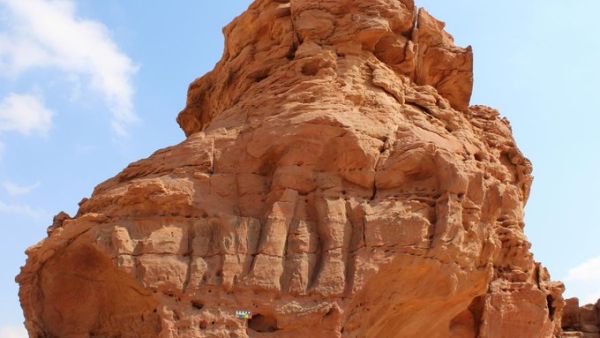 Saudi Arabia camel carvings