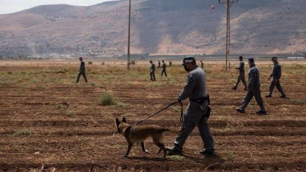 البحث عن الأسرى الهاربين من سجن جلبوع