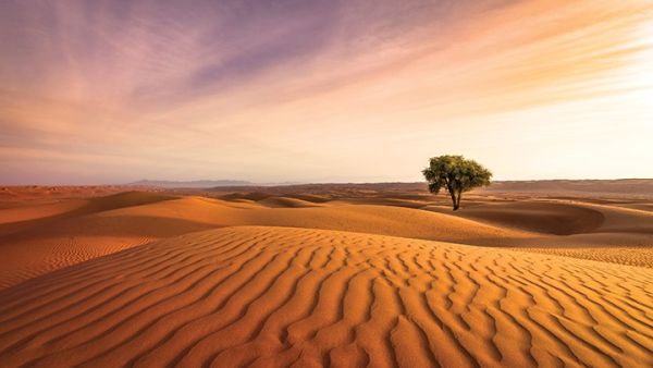 Decarbonizing the GCC's Power Sector. GE White Paper Highlights Pathways To Faster Decarbonization In The GCC’s Power Sector
