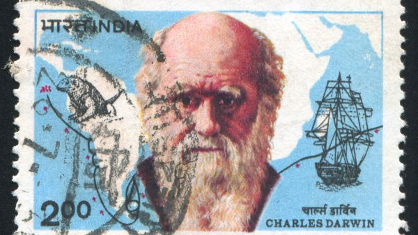 “It is just incredibly spine tingling to look through this and see the microscopic world that Darwin would have seen in the 1820s and 30s,”