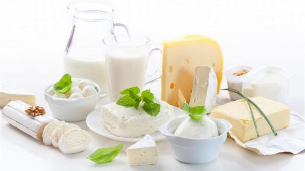 كل ما تريد معرفته عن منتجات الألبان في نظامك الغذائي