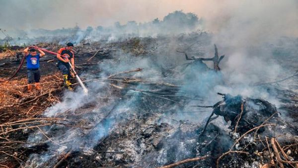 Firefighters in Indonesia 