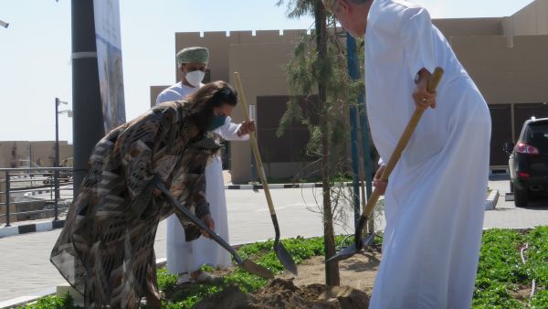 ESO and Partners Plant Juniper Trees in Remembrance of Board Member Dareen Mehdi