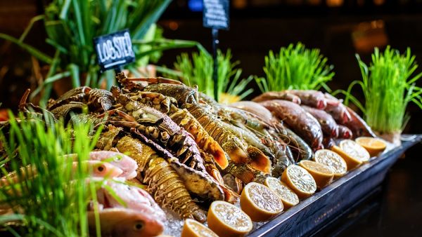 Hyatt Regency Oryx Doha To Celebrate Thanksgiving in Style With an Array of Offers