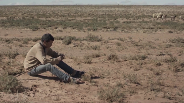 •    النحلة مايا 3: البذرة الذهبية أول عروض سينما السيارات في لوسيل هذا العام