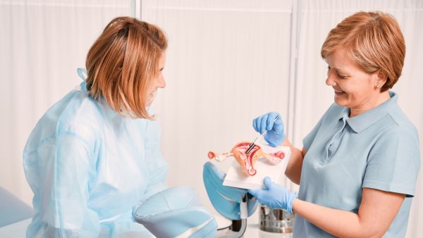 أعشاب لتنشيط المبايض والحمل بتوأم