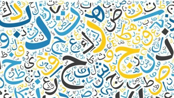 المغرب: سؤال اللغة.. استفهامات التذويب والتعويم!