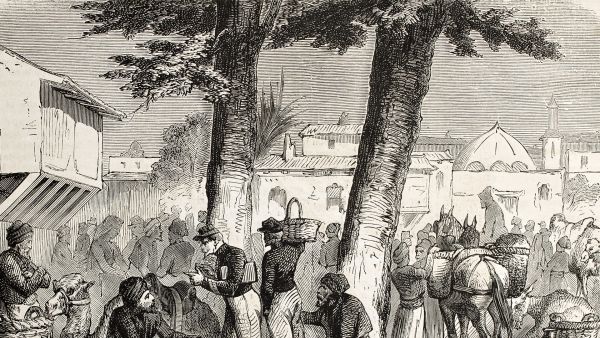 Have you ever come across a tree half as old as time and felt like a million stories and long history must have took place around it? How many civilizations it witnessed, wars, farms, markets and even love stories? 