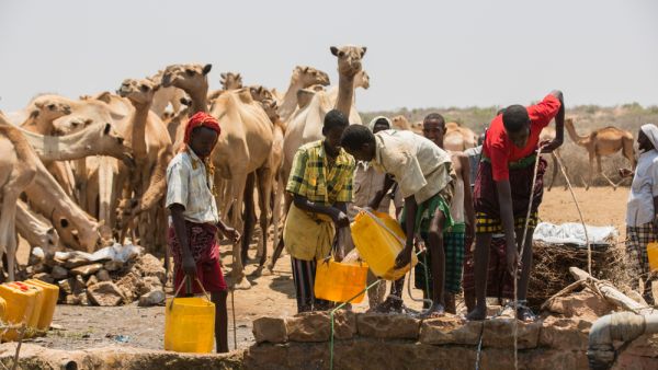  Somalia's deadly drought displaces over 2,000 more
