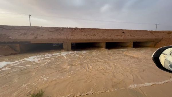 سيول في السعودية