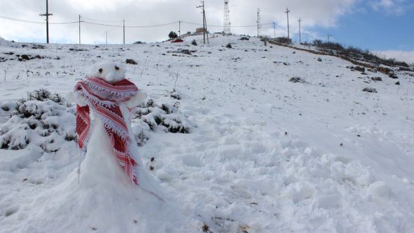 الزائر الابيض يصل الاردن