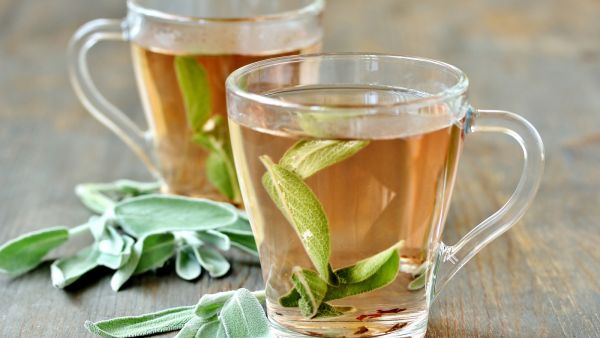فوائد الميرمية لجرثومة المعدة