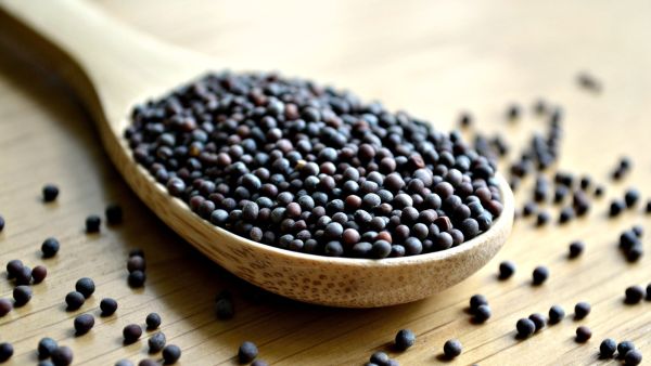 طبيب البوابة: أهمية بذور الخردل في فقدان الوزن