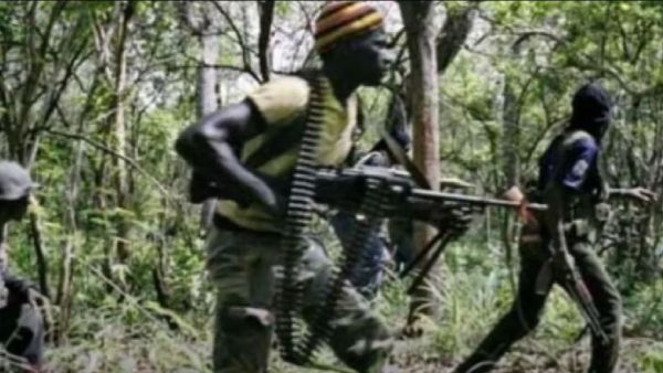  ميليشيا كوديكو