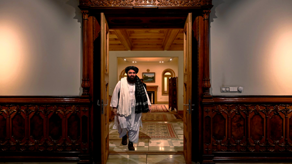 Taliban and Ukraine