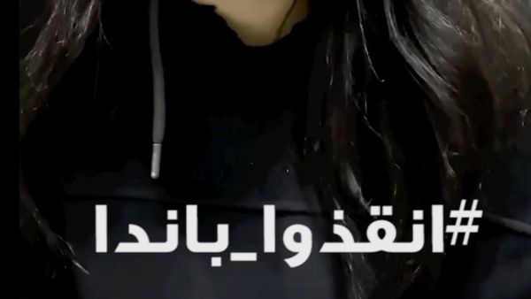 أنقذوا باندا  أنقذوا باندا