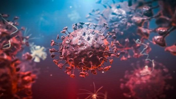 تعتبر السلالة الجديدة من كورونا تركيبا هجينا