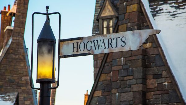 Harry Potter video game