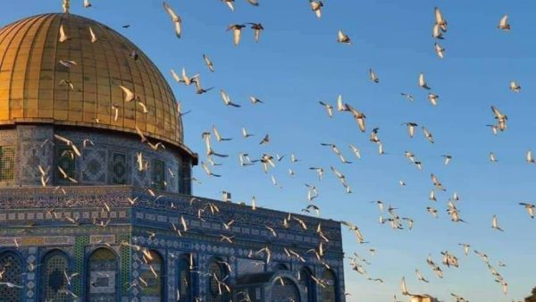 تشهد الأراضي الفلسطينية تصاعدًا في العمليات والتي أدت لمقتل عددا من المستوطنين