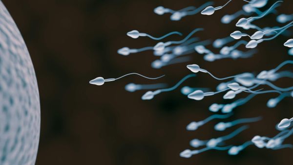 طبيب البوابة: طرق مثبتة لتعزيز الخصوبة وزيادة المني