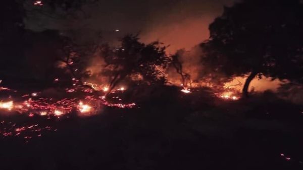 محمية اليرموك