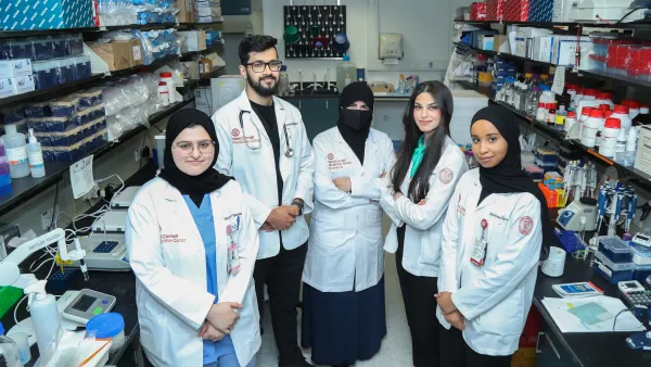 WCM-Q Researchers and Students Publish Study on 3D Tissue-engineered Drug Screening Platforms