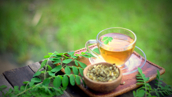 متى يشرب شاي المورينجا للتخسيس