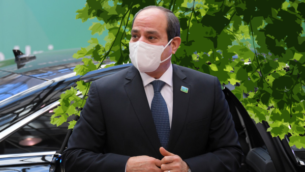el-Sisi tree leaves