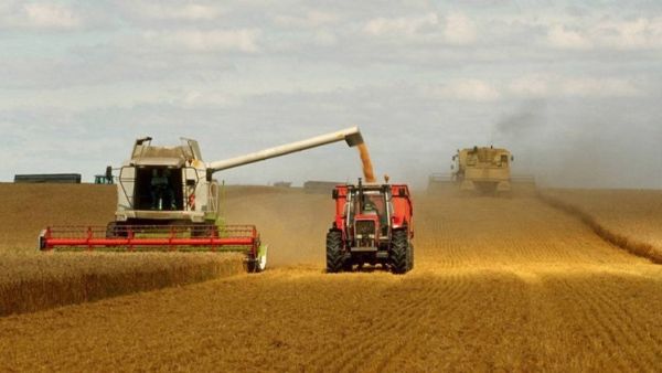 تونس ومعركة إنتاج الحبوب