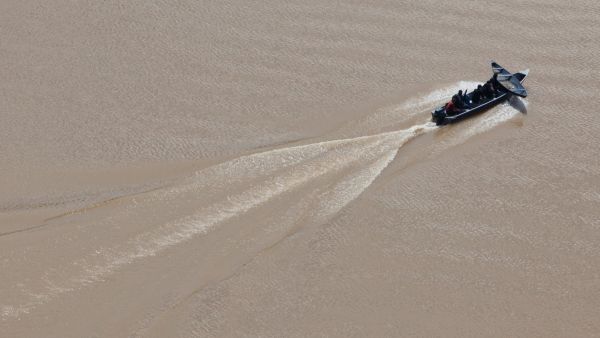 British journalist Dom Phillips