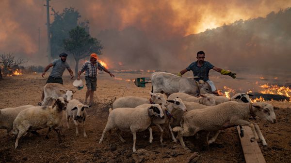 control wildfire
