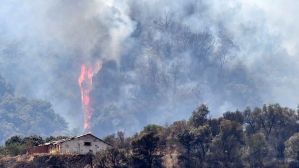 حرائق في المناطق الحرجية بولاية سطيف