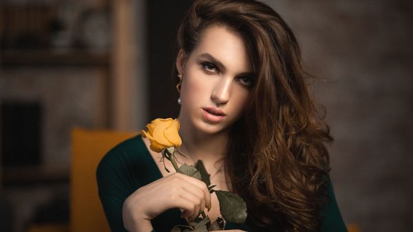 المعنى الرمزي للورود الصفراء الزاهية المعنى الرمزي للورود الصفراء الزاهية