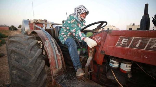 أول فلسطينية تحمل رخصة قيادة جرار زراعي