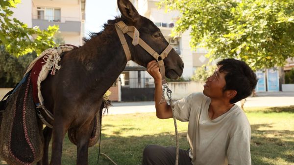 ياباني ينهي جولة واسعة بتركيا على ظهر حمار