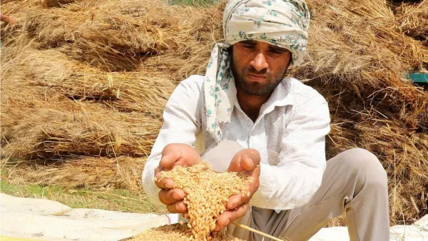  "العاصفة مكتملة الاركان"