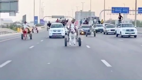 donkey cart race in Bahrain 