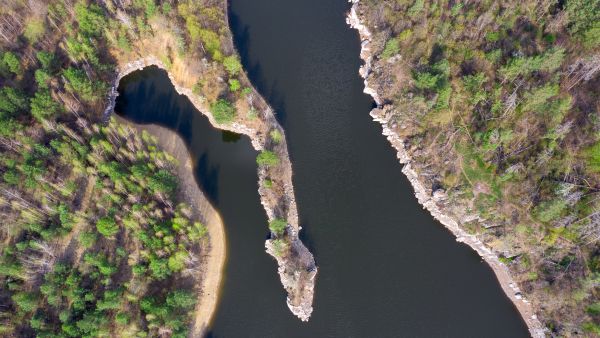 Snake Island 