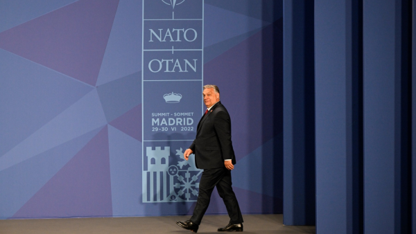 A ‘Pro-Nazi' in the EU and NATO? Hungarian PM Condemned