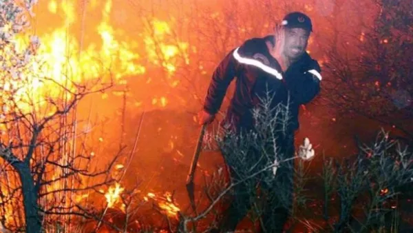 اعتقال 13 شخصا مشتبه بتورطهم بحرائق غابات الجزائر