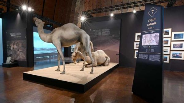 معرض يروي هجرة النبي محمد بأعمال فنية معاصرة