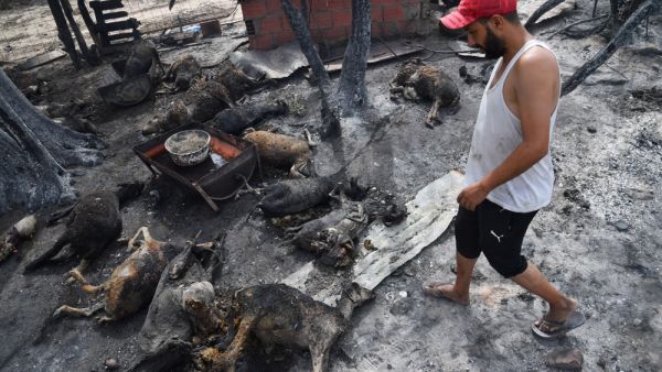 وقاوم اكثر من  1700 عنصر إطفاء لاحتواء نحو 20 حريقا 